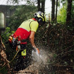 Arbeitseinsatz der TimbCo GmbH