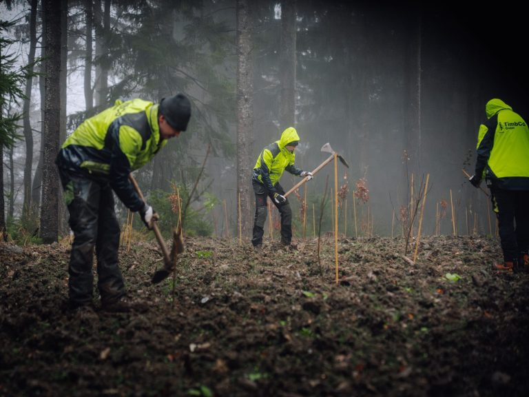 Mitarbeiter der TimbCo GmbH bei der Arbeit